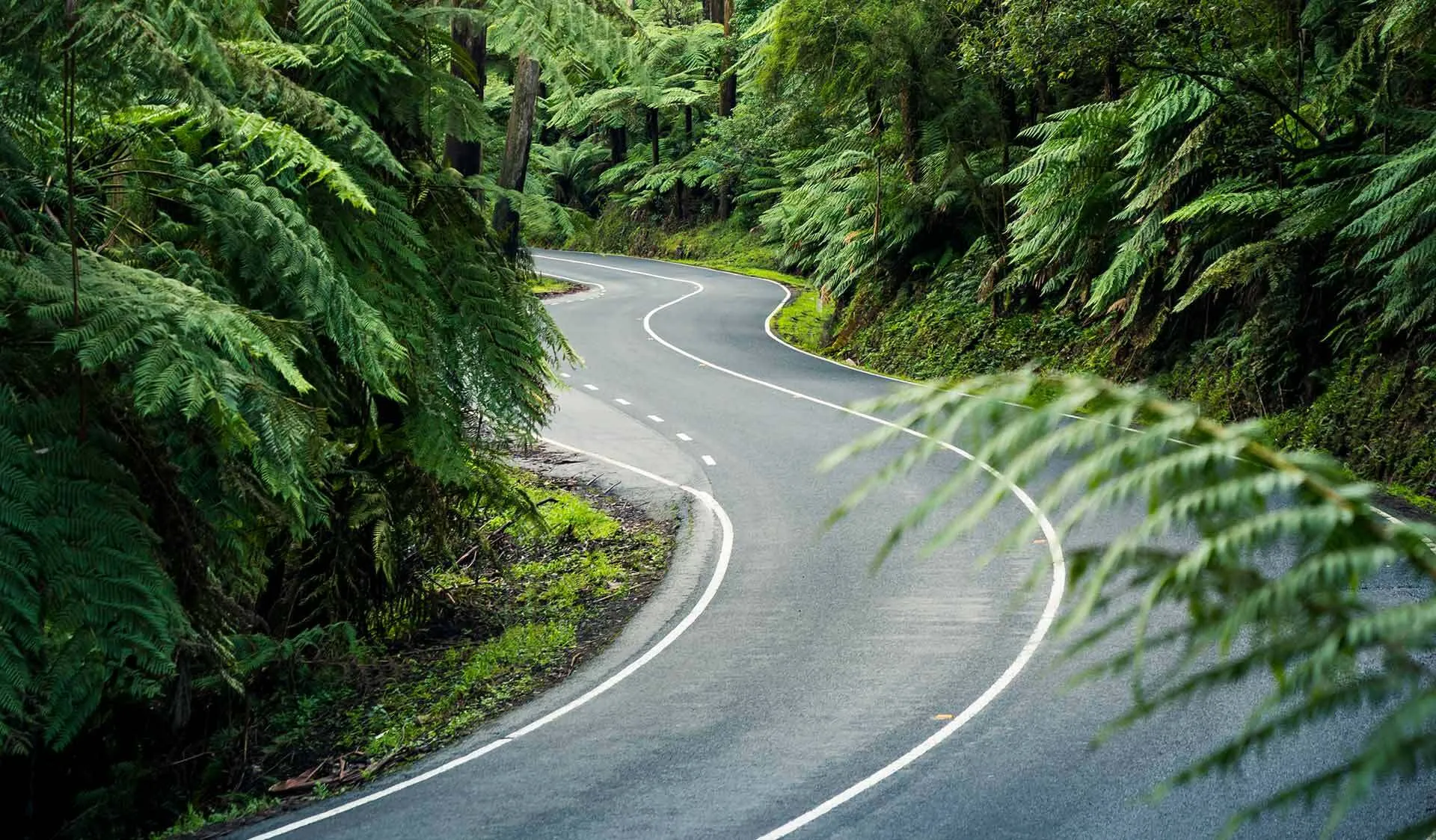 Black spur, drifter Motorcycle Tours 