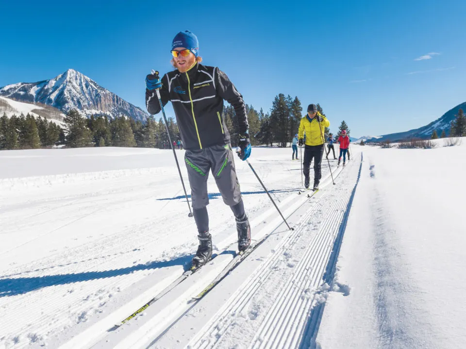 Cross Country Skis