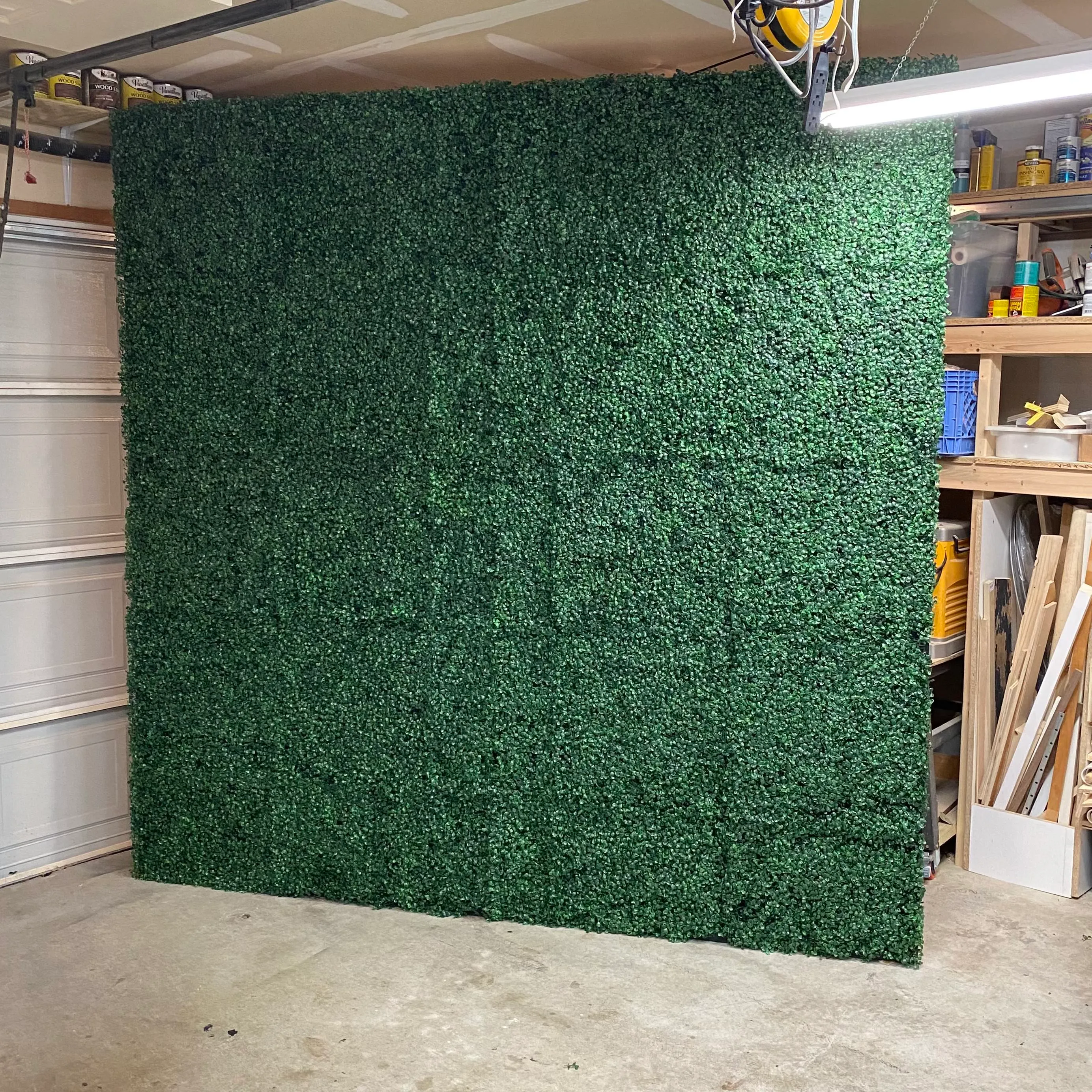 8'X8' Greenery Boxwood Backdrop Wall