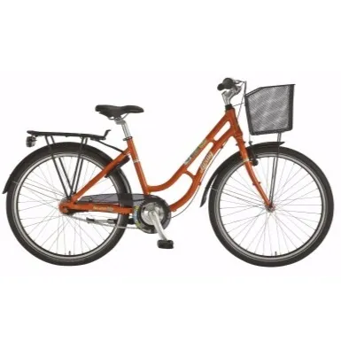 24" Living Caroline Nexus 7 Str. 38 cm