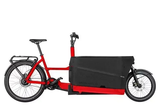 Riese & Müller Packster
