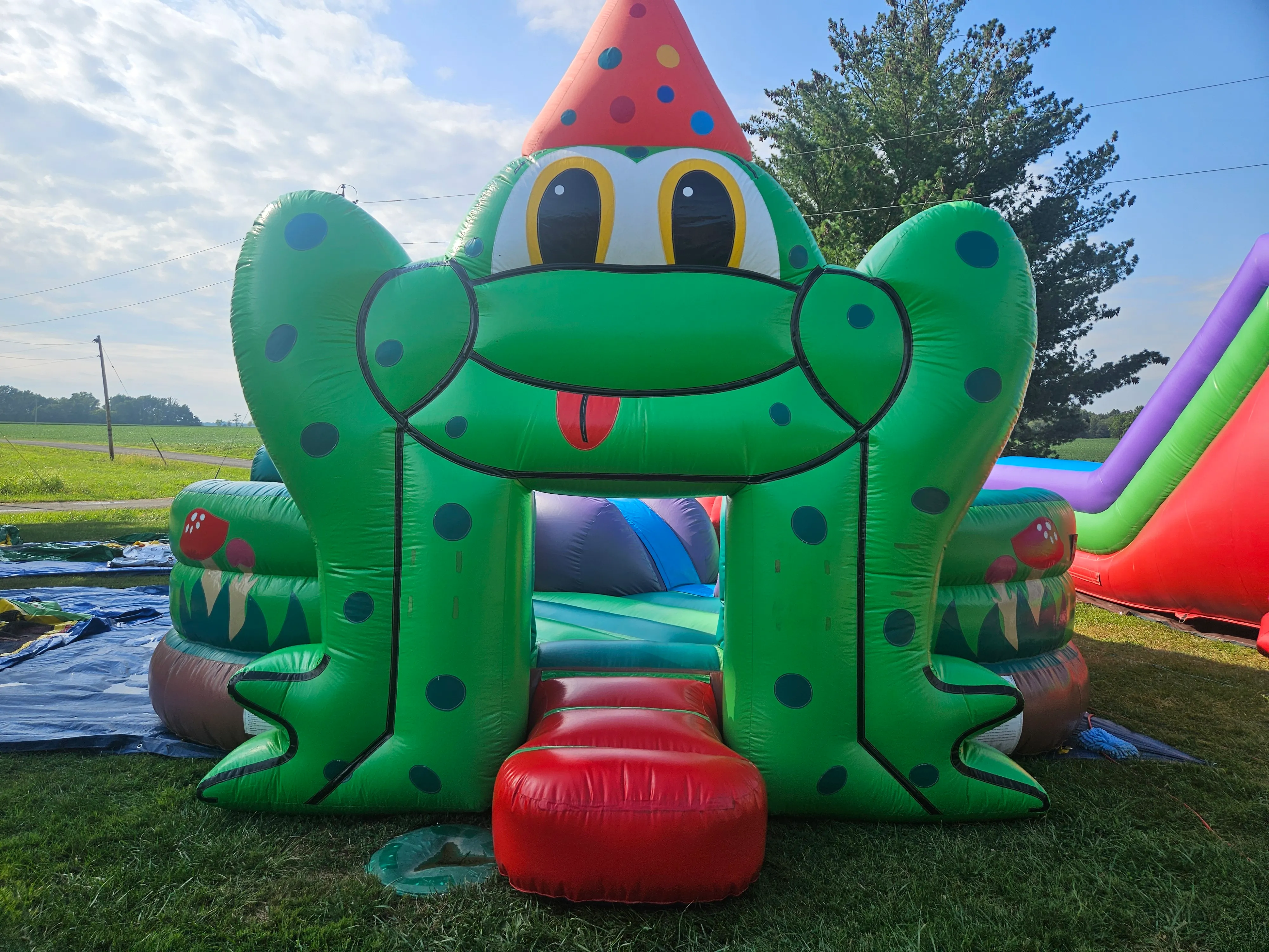 Frog Safari Junior Playground