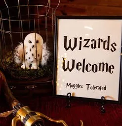 Wizards Welcome Sign