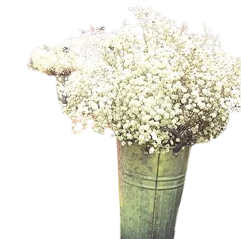 Tall Galvanized Buckets