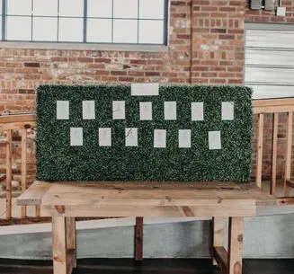 Tabletop Boxwood Hedges