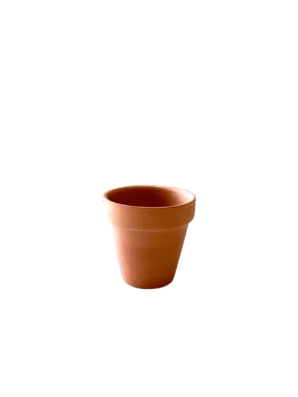 Terracotta Pots