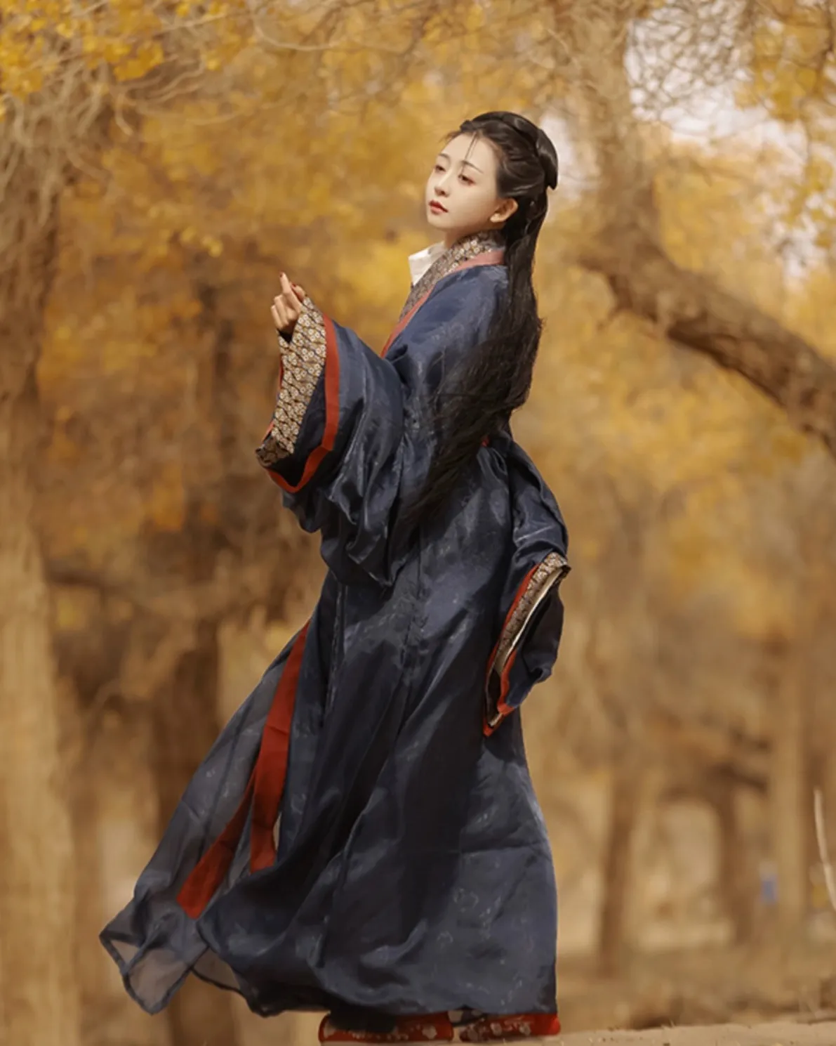 Black Zhiju robe set  黑直裾纱衫 