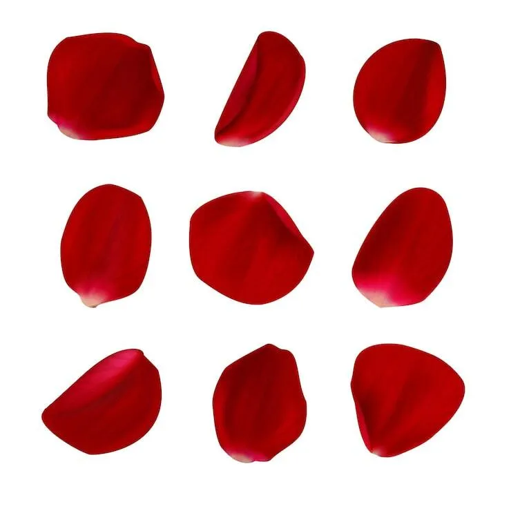 Rose Petals (Assorted Colors Available) 