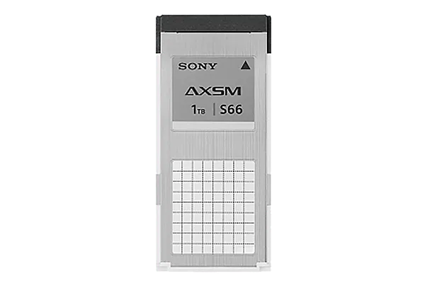 Sony AXSM S66 1TB  (LTR PRICING)