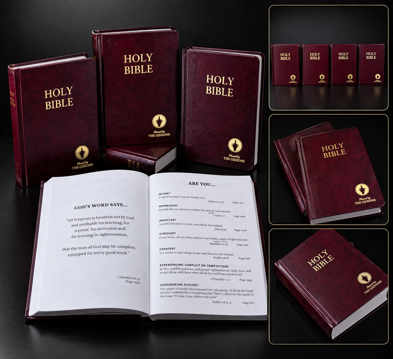 Group Bible Study Bibles