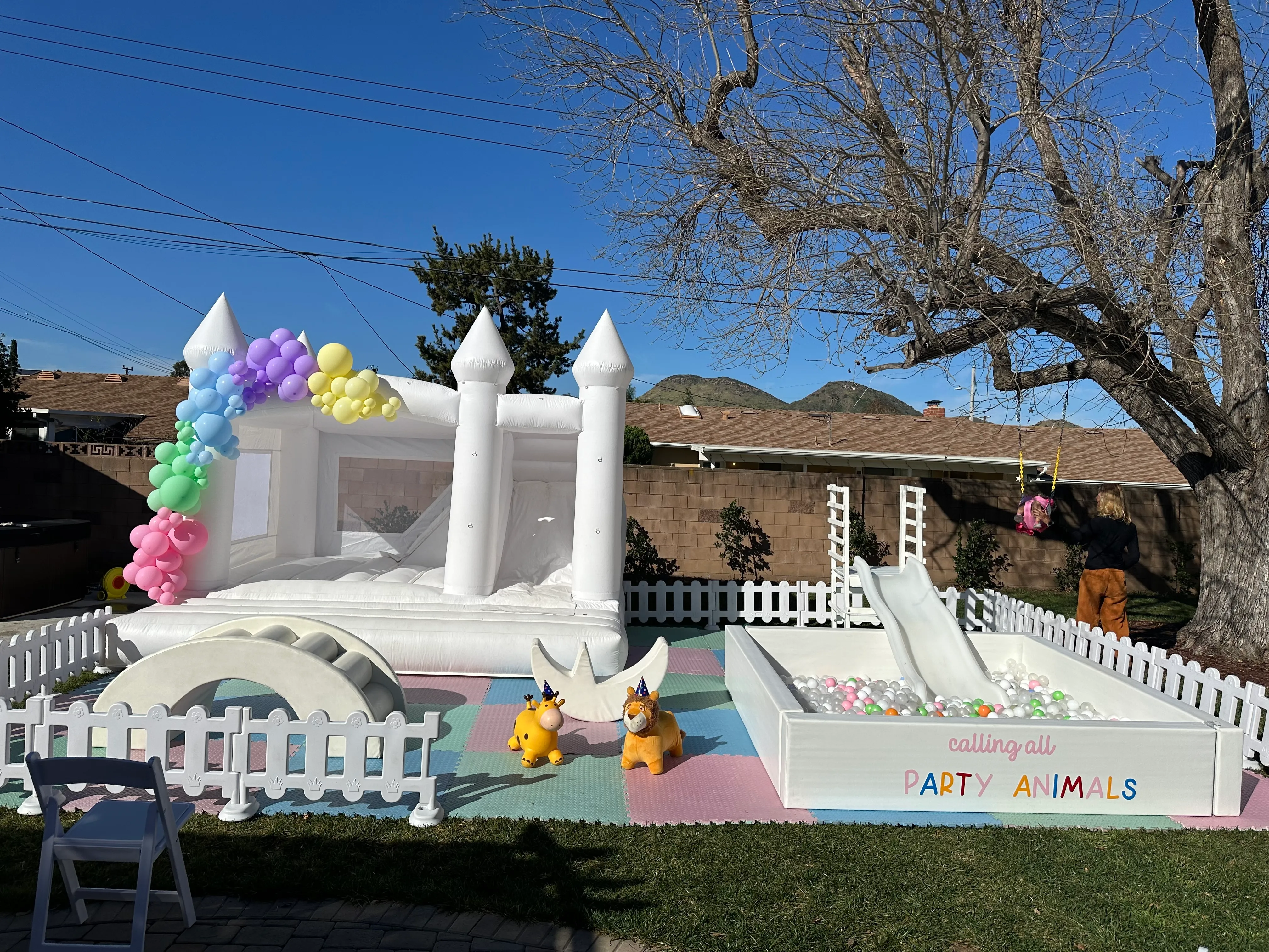 $749+ Luxury Set Ups