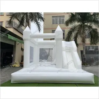 3-in-1 Combo Bouncer
