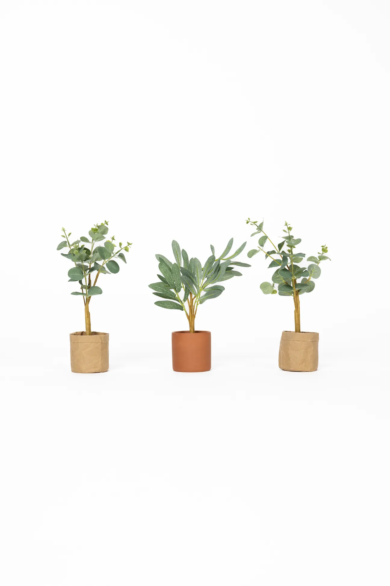 Mini Plants Group 3