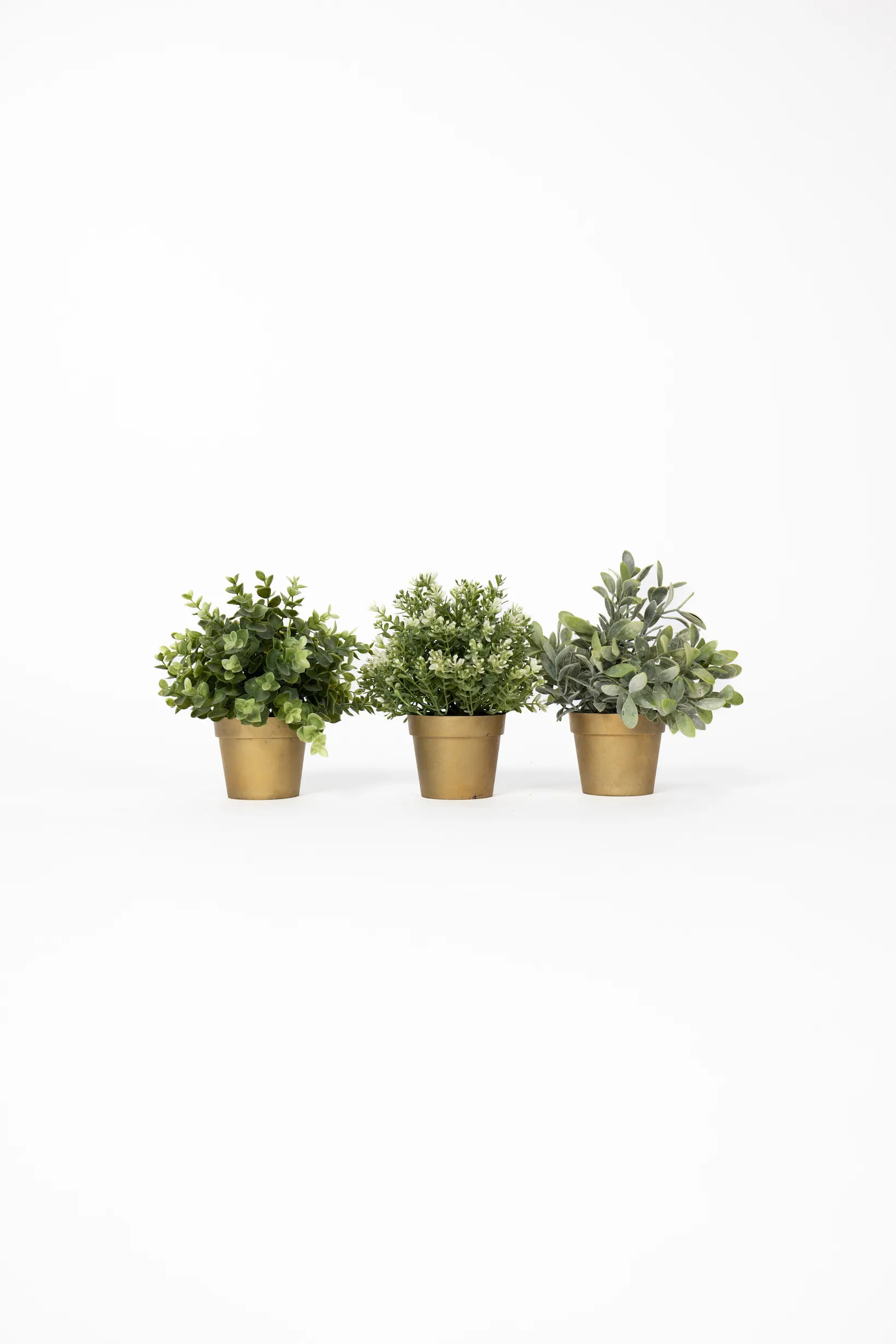 Mini Plants Group 2