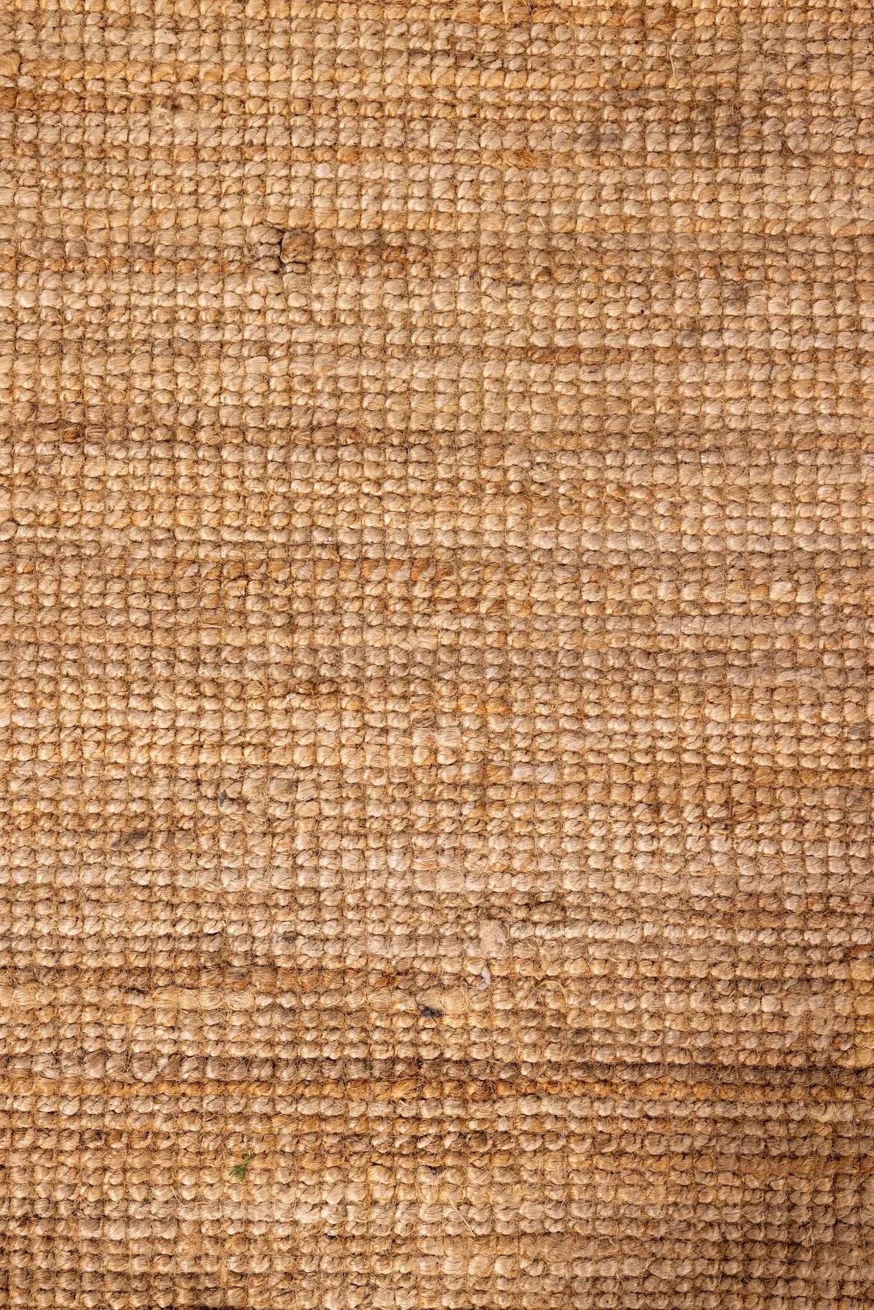 Tan with Lines Carpet
