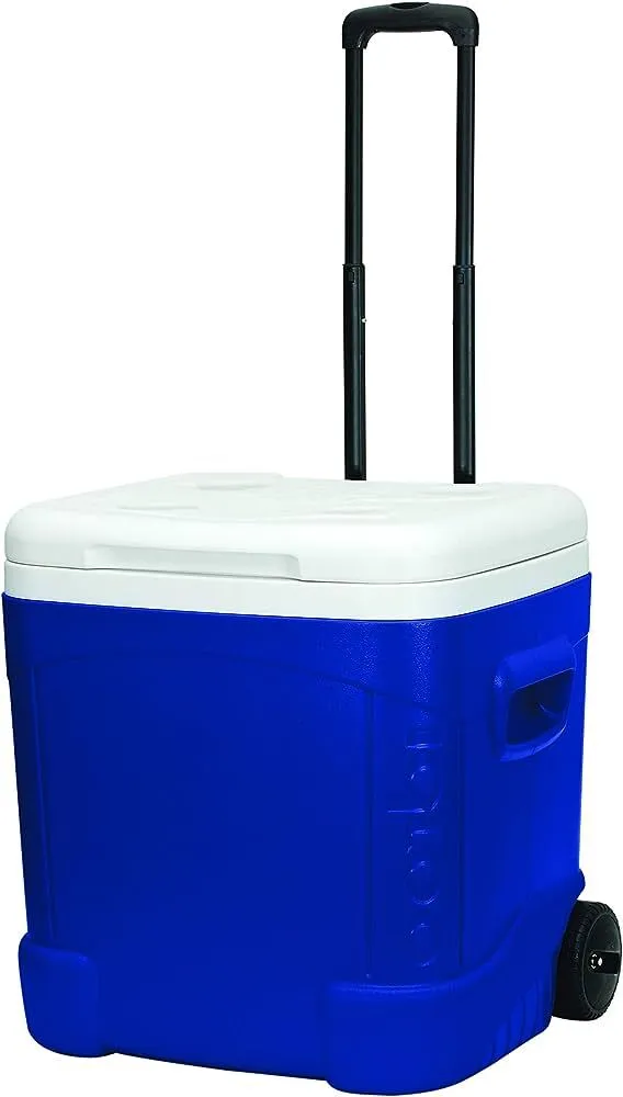Cooler 50 qt