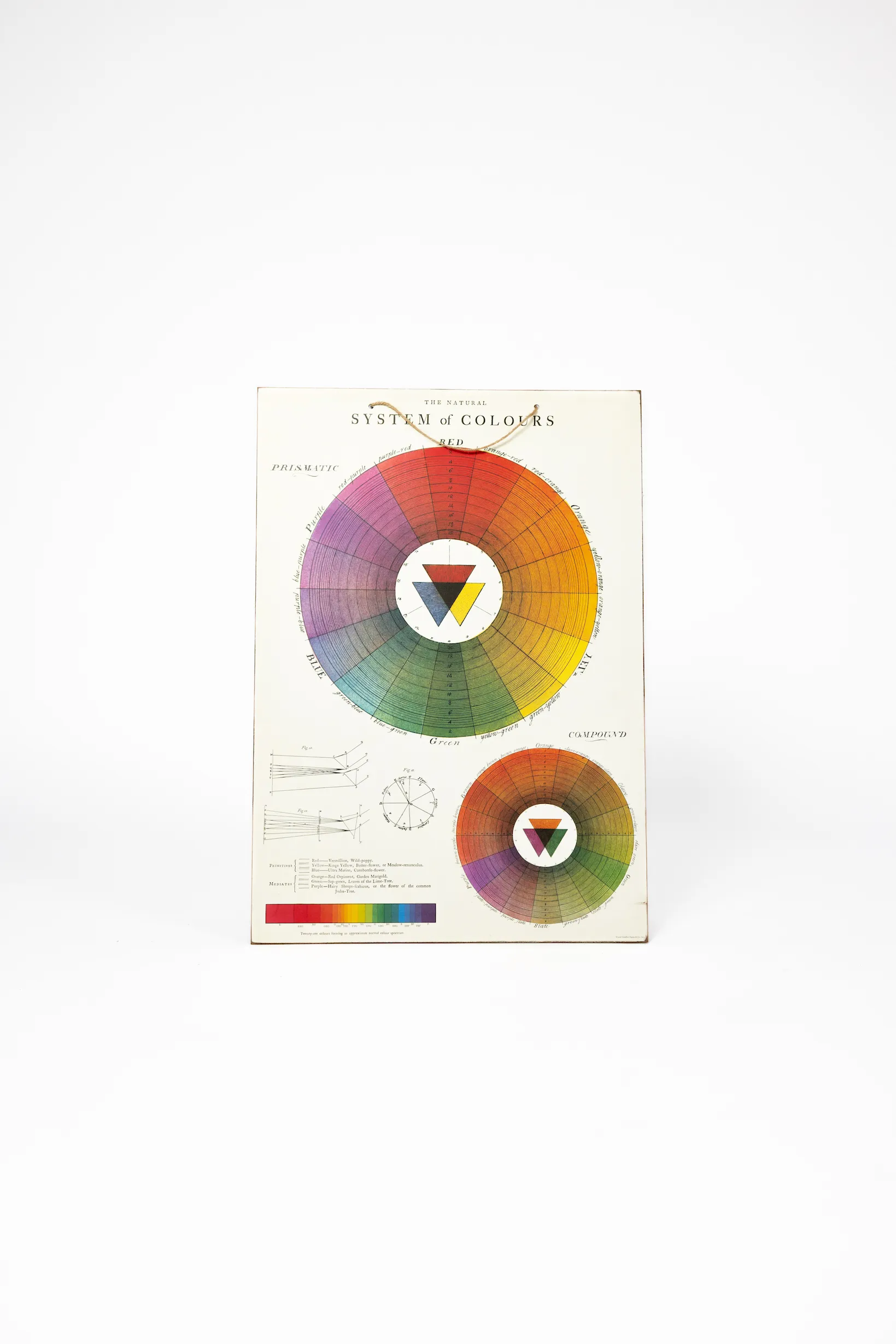 System Of Colors Picture