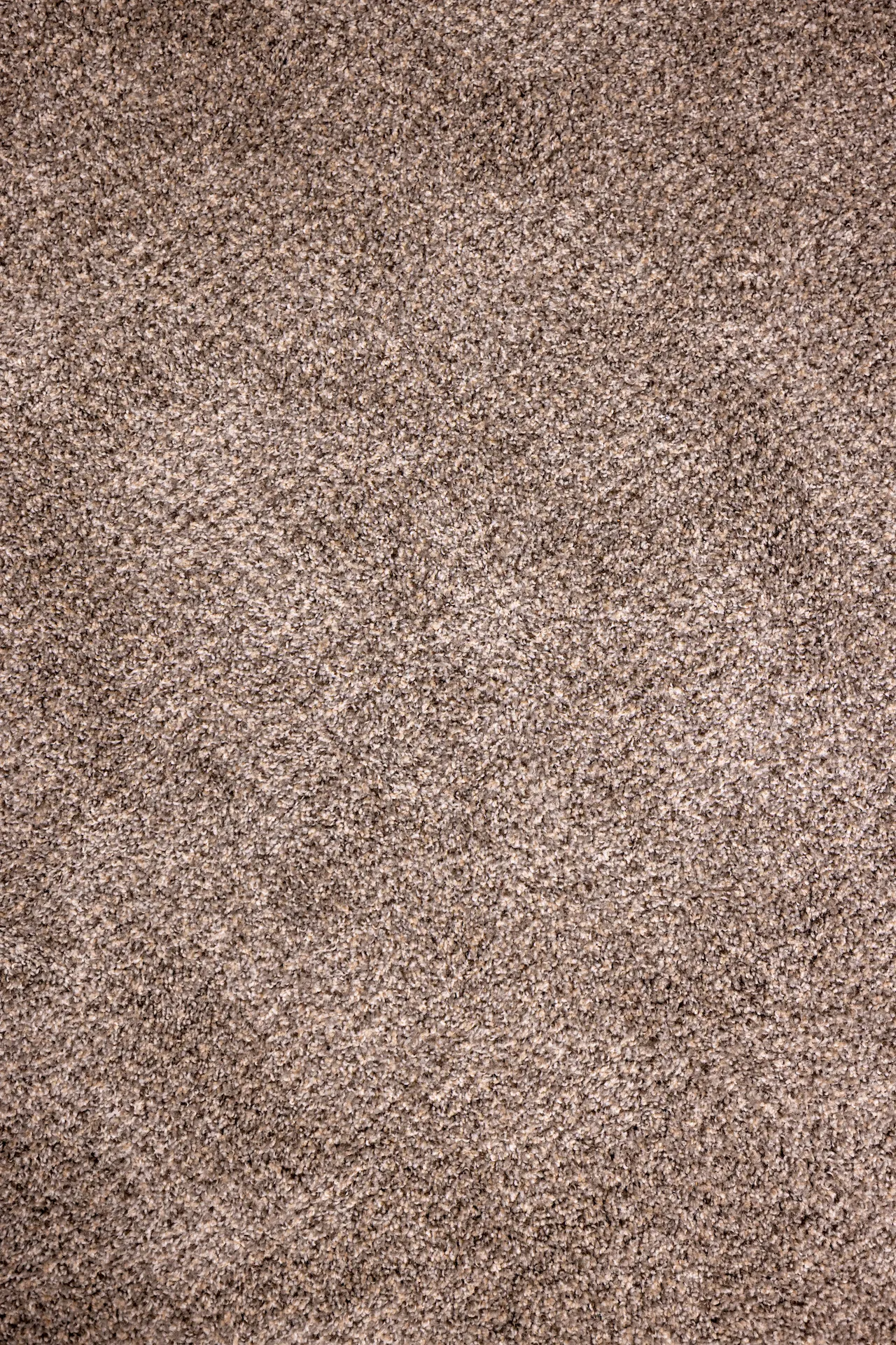 Brown Carpet