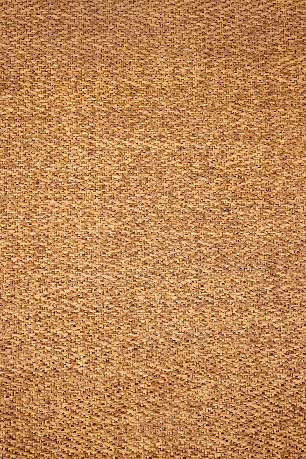 Tan Carpet 2