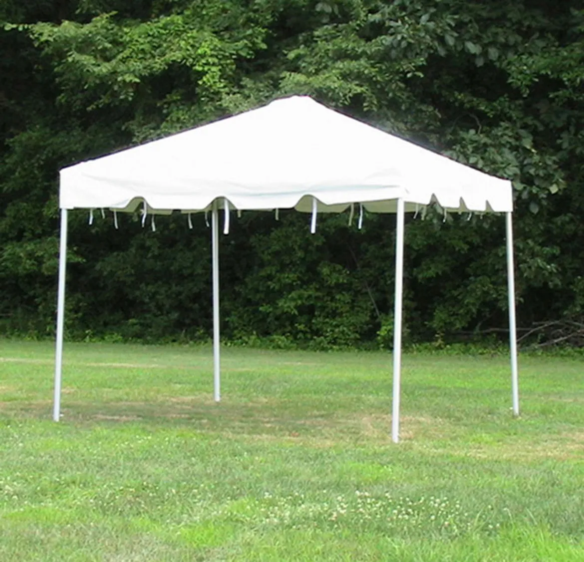10 x 10 Standard Frame Tent