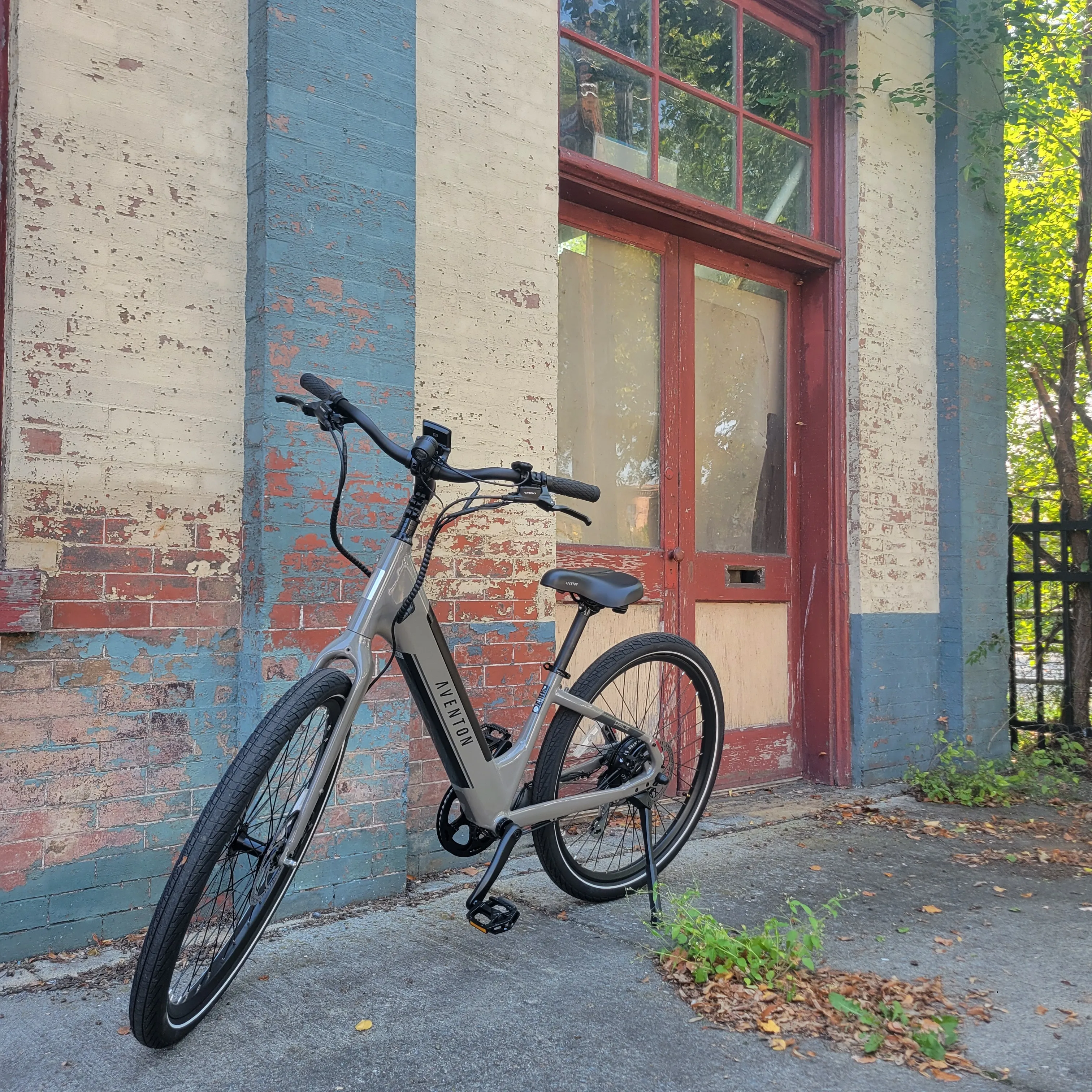 Rental Electric Bikes