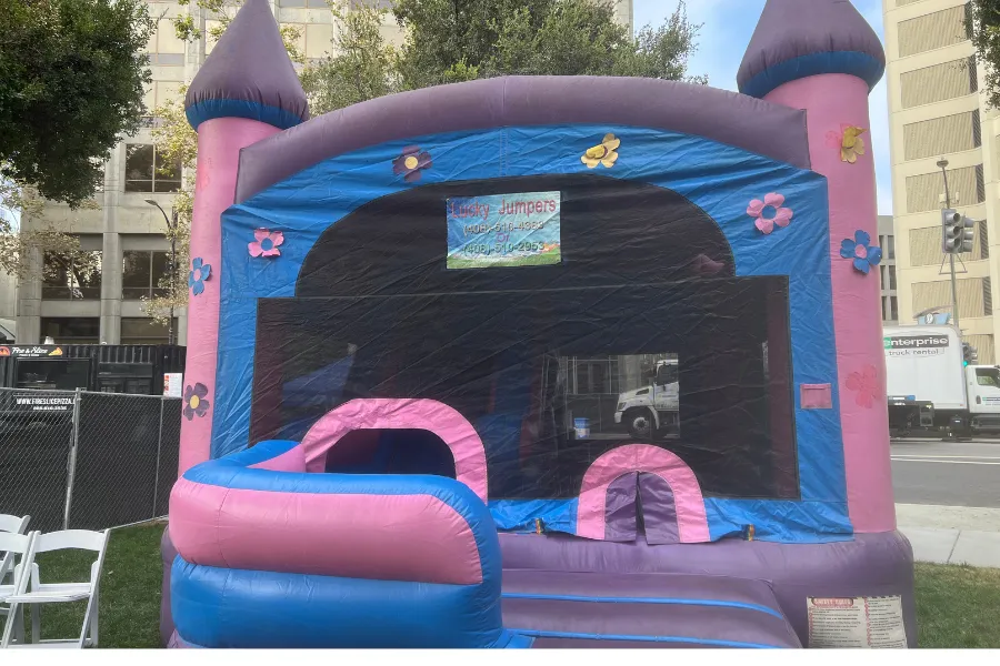 Large princess castle (33)