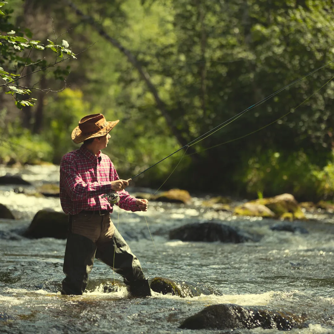 Trout Fishing Trips