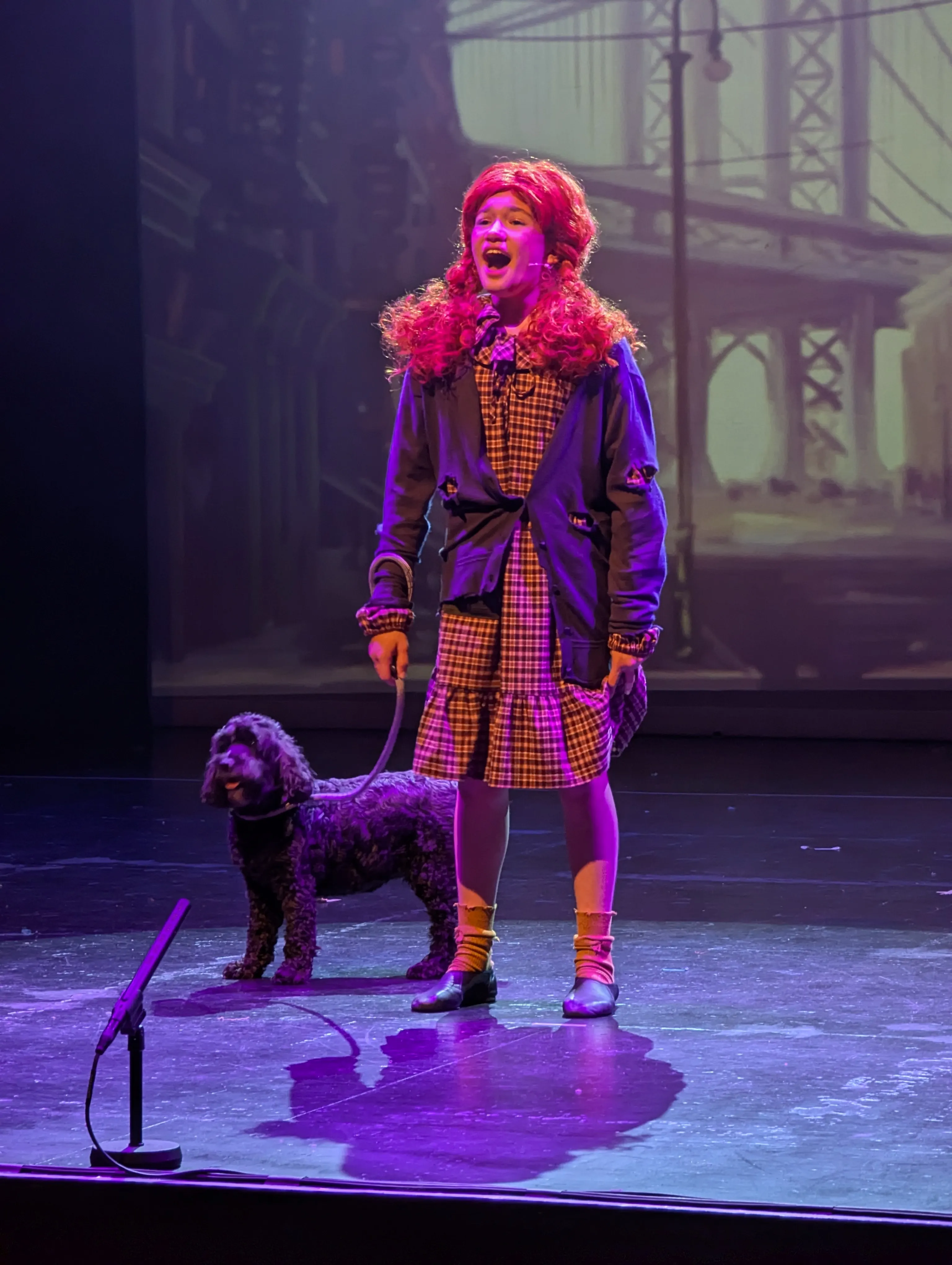 Annie orphan costume, dress and cardigan