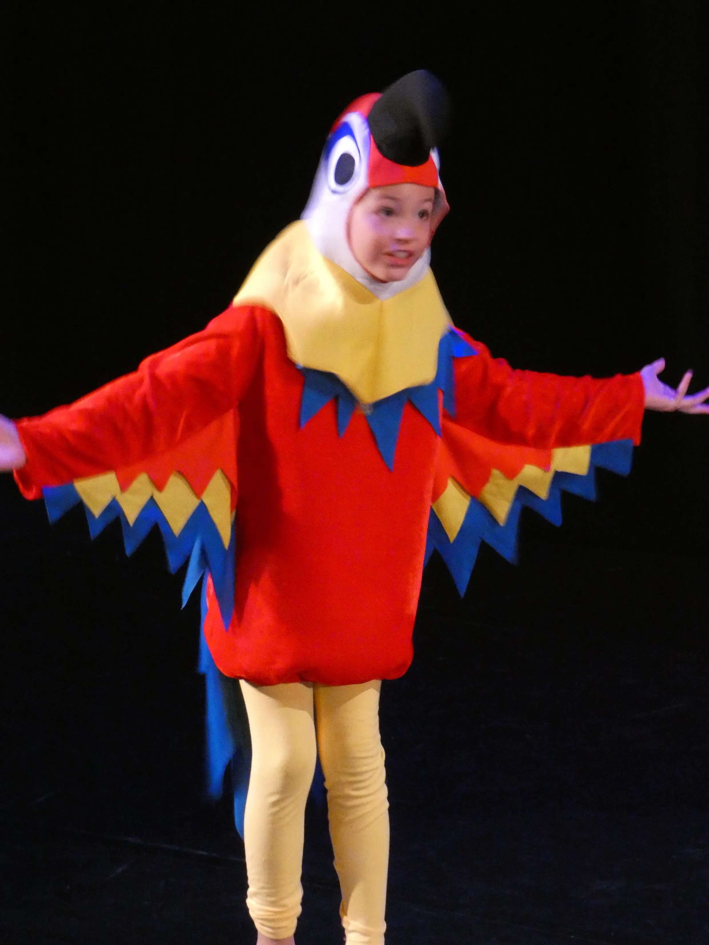 Iago costume - Aladdin