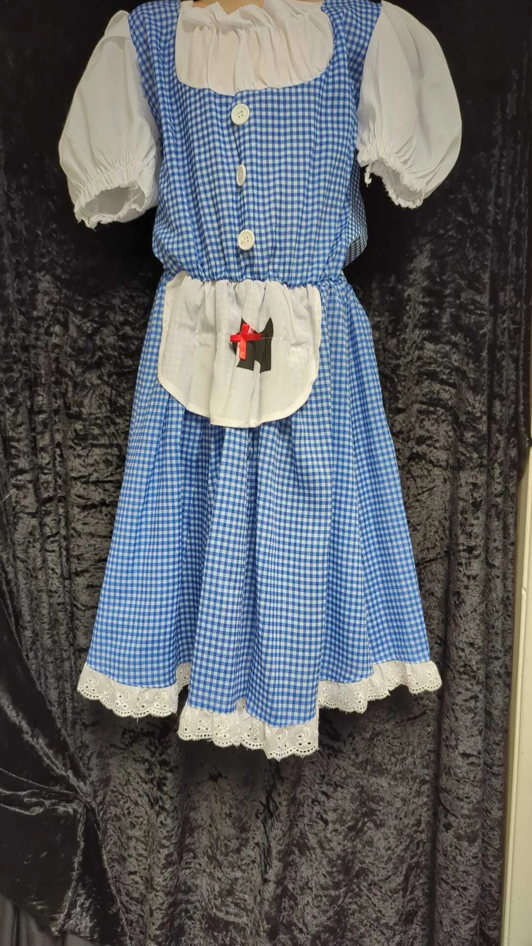 Dorothy dress for the Wizard of Oz