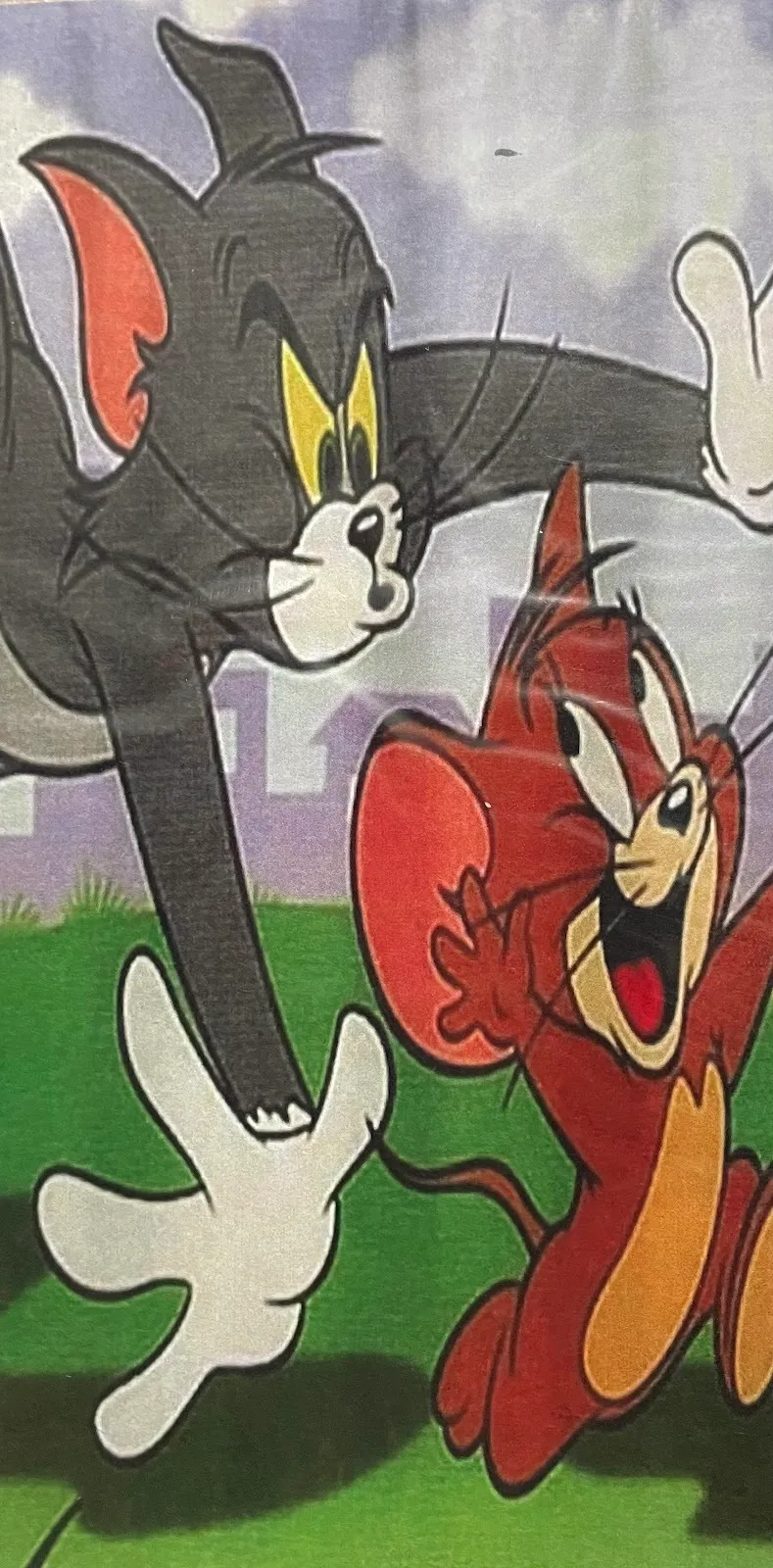 Tom & Jerry Backdrop
