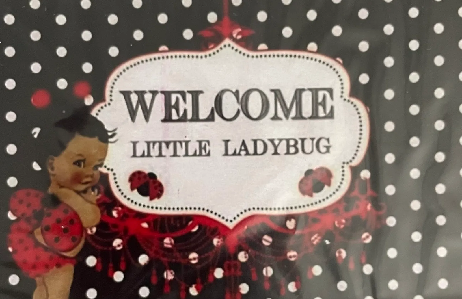 Little Ladybug Backdrop
