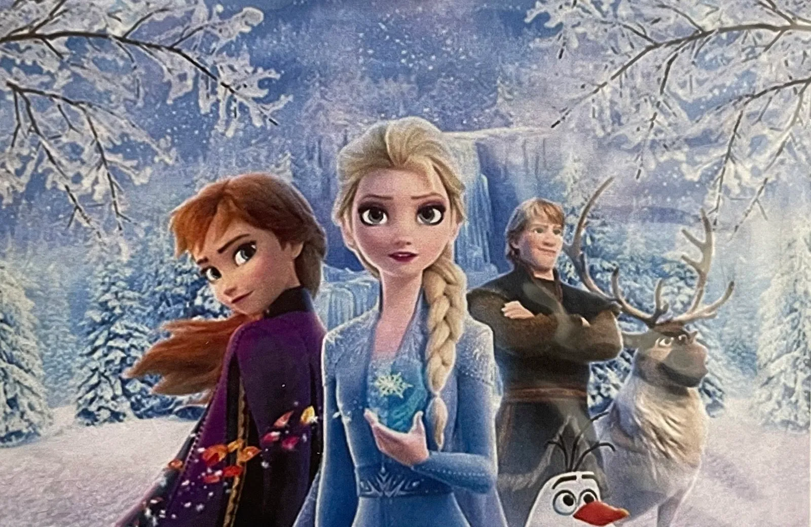 Frozen Backdrop