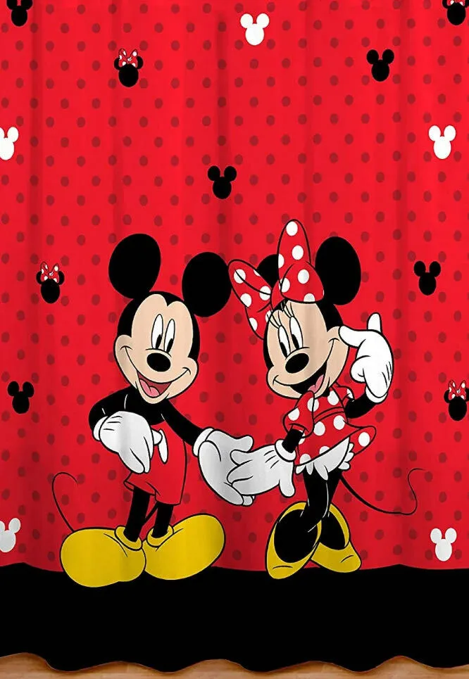 Minnie & Mickie Mouse Backdrop#1