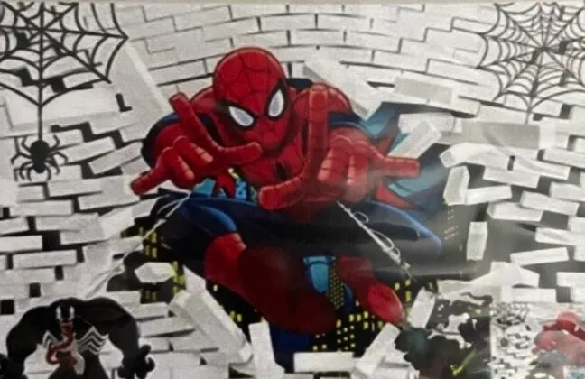 Spiderman Backdrop