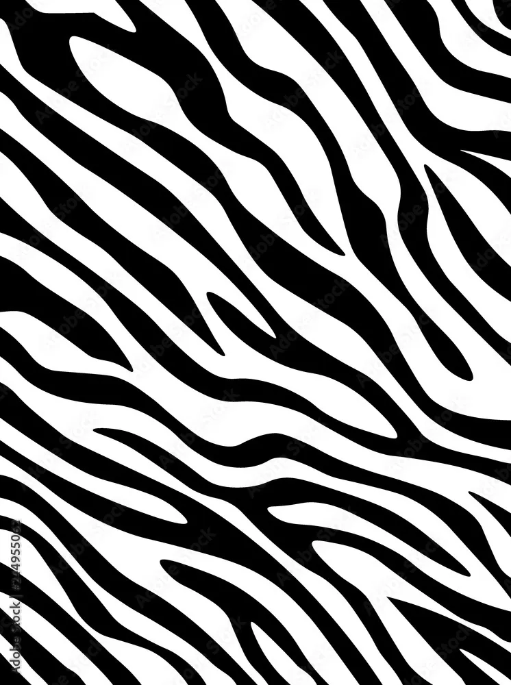 Zebra Print Backdrop