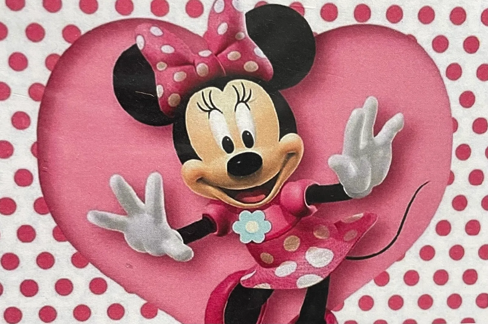 Minnie Mouse Backdrop#1