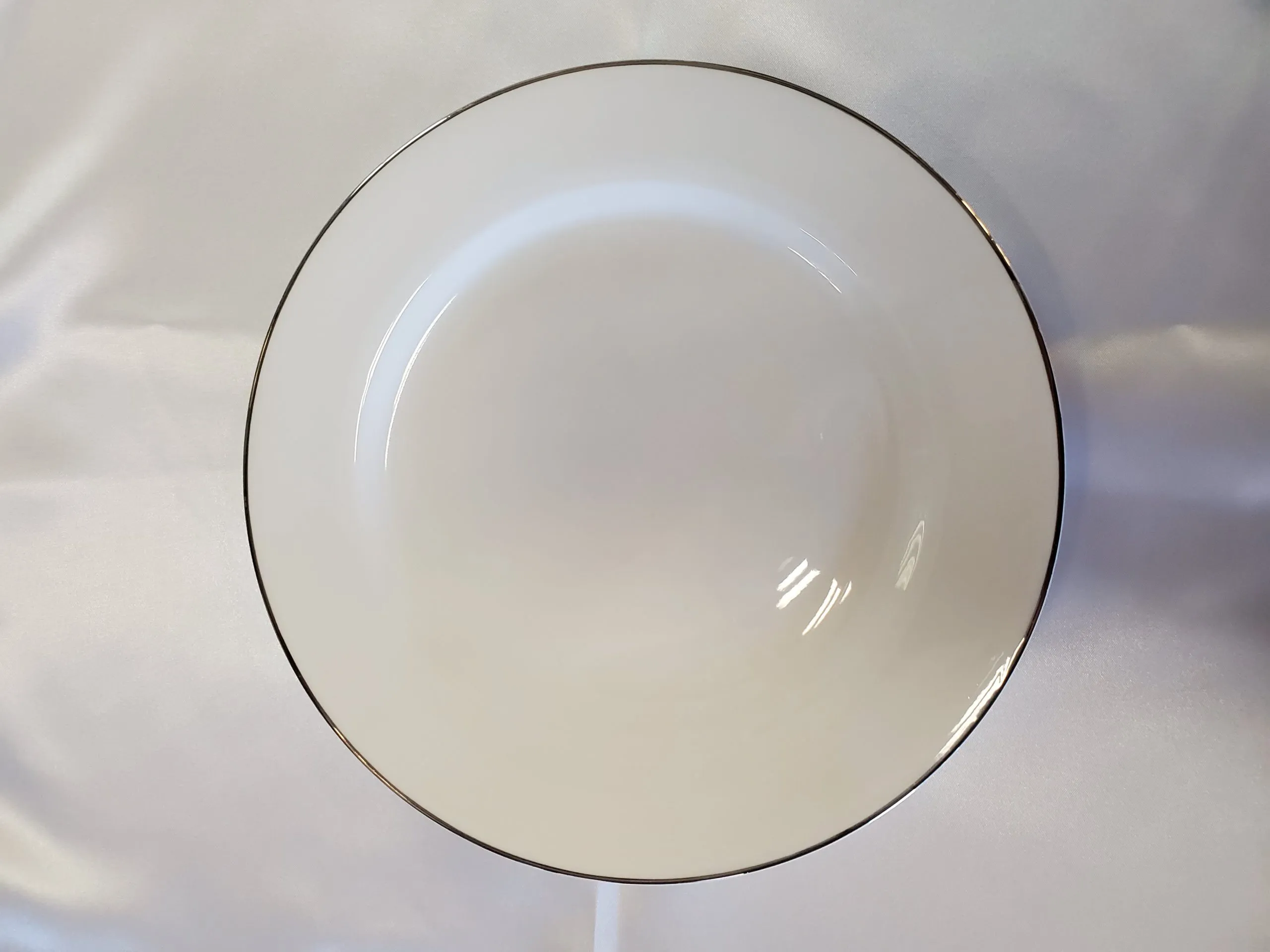 Silver Trimmed Dinner Plates