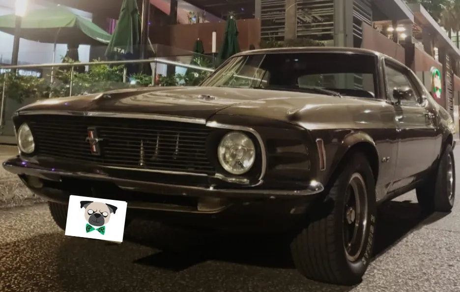 Mustang 1970 color arena