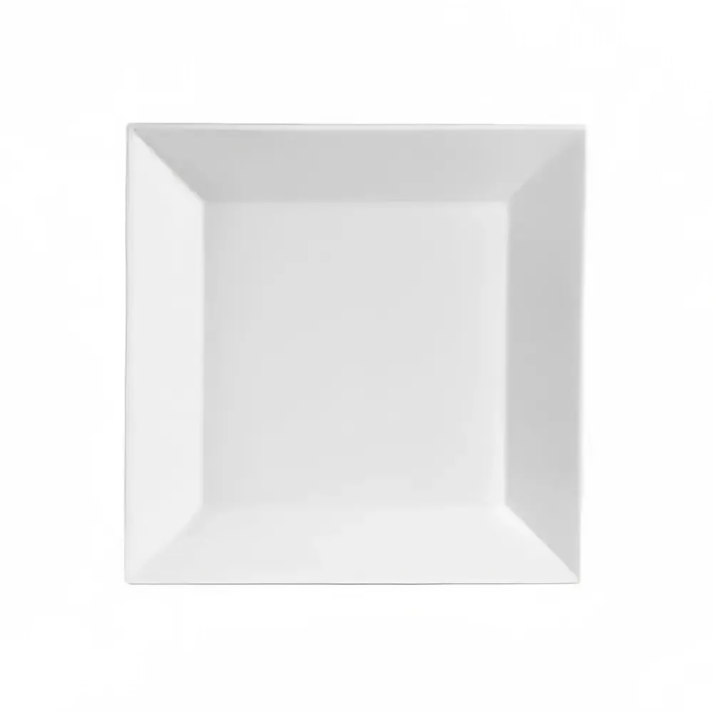 10.5 inch square Dinner Plate