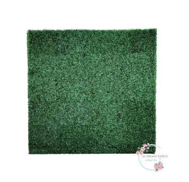 Boxwood Backdrop 7’x7’