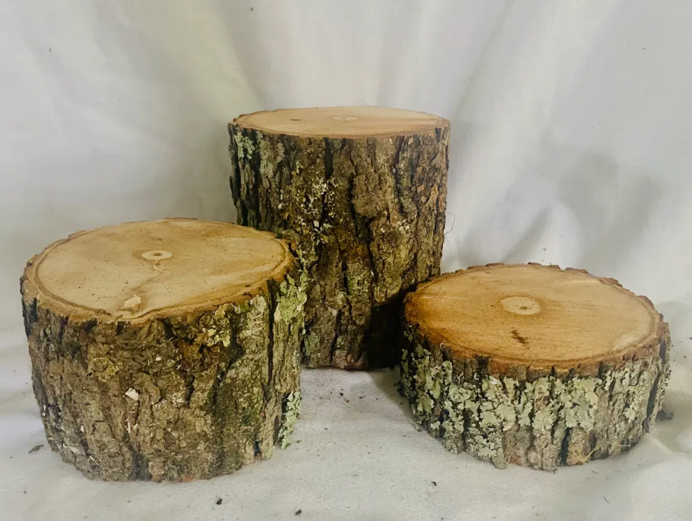 Wooden & Natural Props: Wooden Stumps