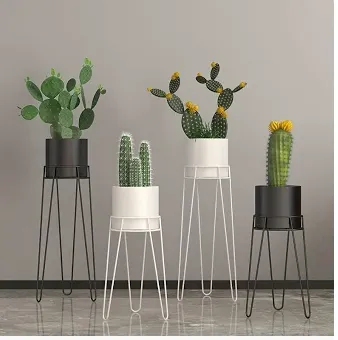 Planters & Stands