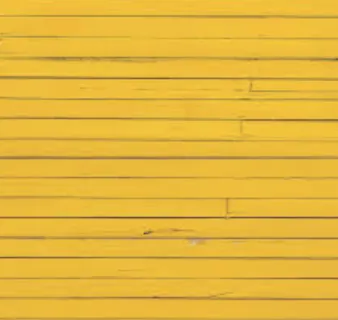 Photography; Backdrops : Yellow