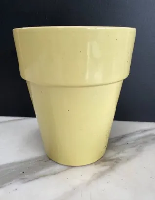 Yellow Plant Pot