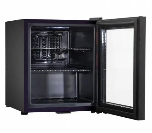 Black Mini Fridge