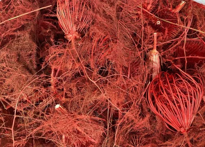Red Dried Foliage