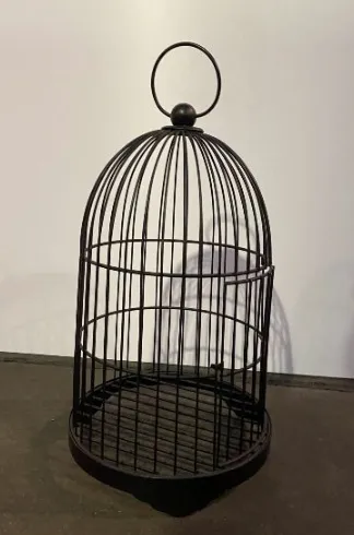 Black Birdcage