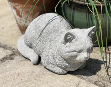 Stone Cat