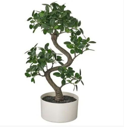 Artificial Bonsai